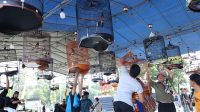 IMG-20250622-WA0047