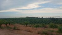 IMG-20250918-WA0040