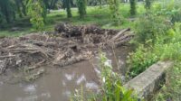 IMG-20251021-WA0072