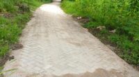 Proyek Siluman Sapangkur: Anggaran Belum Turun, Paving Sudah Berdiri Asal Jadi - Ini Bukan Kecelakaan, Ini Pola SUMENEP, JAWA TIMUR - Pertengahan April 2026, sebuah proyek pembangunan jalan paving muncul tiba-tiba di Dusun Sabuntan Dua, Desa Sabuntan, Kecamatan Sapeken - tanpa satu pun papan informasi, tanpa prasasti, dan tanpa kejelasan sumber anggaran. Yang lebih menggelisahkan: warga setempat menyatakan anggaran proyek belum terealisasi. Siapa yang mendanai proyek ini, dan siapa yang bertanggung jawab atas kualitasnya yang dipertanyakan? Proyek pembangunan jalan paving di Dusun Sabuntan Dua, mencuat menjadi sorotan publik sejak pertengahan April 2026, bukan karena manfaatnya yang dirasakan warga - melainkan karena serangkaian kejanggalan yang melekat sejak paku pertama ditancapkan: tidak ada satu pun papan informasi proyek, tidak ada prasasti, dan tidak ada kejelasan tentang dari mana anggaran mengalir. Dalam praktik pengadaan barang dan jasa pemerintah, papan informasi proyek adalah kewajiban - bukan pilihan. Papan tersebut memuat nama kegiatan, sumber dana, nilai anggaran, nama pelaksana, dan masa pengerjaan, yang berfungsi sebagai instrumen transparansi publik sekaligus alat kontrol sosial. Ketiadaannya bukan sekadar pelanggaran administratif; ini adalah sinyal serius bahwa ada sesuatu yang disembunyikan dari masyarakat. Yang membuat kasus ini semakin menggelisahkan adalah fakta yang disampaikan warga: anggaran proyek ini disebut belum terealisasi pada saat pembangunan fisik sudah berjalan dan bahkan hampir rampung. Pertanyaan yang muncul kemudian sangat mendasar - jika anggaran belum cair, dari kas mana pekerjaan ini dibiayai? Apakah ada mekanisme pinjam-pakai dana yang tidak transparan? Atau ini adalah modus pengerjaan mendahului penetapan anggaran yang rawan penyelewengan? Pada Minggu, 26 April 2026, salah seorang warga Pulau Sapangkur Kecil mengonfirmasi kepada media ini bahwa proyek paving tersebut baru saja diselesaikan - hanya dalam hitungan hari sebelum tanggal konfirmasi. "Masih lima hari dari sekarang dibangun." Ungkap salah satu warga Pulau Sapangkur Kecil yang namanya enggan dusebukan, Minggu, 26/04/2026 Namun warga tidak hanya mempersoalkan kecepatan pengerjaan yang janggal. Ia juga mengeluhkan kualitas konstruksi yang jauh dari standar teknis paving yang semestinya - sebuah keluhan yang mencerminkan pengamatan orang yang tahu betul bagaimana sebuah jalan paving seharusnya dibangun. "Seharusnya pembangunan paving itu pasirnya kan dipadatkan serta ada semacam cor atau nat kanan kiri agar tidak mudah hancur kena air," Keluh-Nya Berdasarkan keterangan warga dan pantauan lapangan, sedikitnya terdapat beberapa kejanggalan teknis yang patut diinvestigasi lebih lanjut oleh pihak berwenang: Tidak terdapat papan informasi proyek yang memuat sumber dana, nilai anggaran, nama pelaksana, dan masa pekerjaan - wajib secara regulasi pengadaan. Tidak ada prasasti peresmian atau penanda resmi yang menunjukkan pertanggungjawaban kelembagaan atas proyek. Anggaran proyek disebut warga belum terealisasi saat pembangunan fisik sudah berlangsung - memunculkan pertanyaan serius soal mekanisme pembiayaan. Pemadatan lapisan pasir dasar (sub-base) diduga tidak dilakukan sesuai standar, sehingga pondasi paving mudah amblas dan bergeser. Tidak terdapat cor pengunci atau nat pengisi di sisi kanan dan kiri paving - tanpa ini, blok paving rentan bergeser dan hancur terkena genangan atau aliran air. Pekerjaan ini menimbulkan pertanyaan serius tentang waktu pelaksanaan serta kecukupan waktu curing dan pemadatan yang diperlukan untuk kualitas konstruksi yang berkelanjutan. Kejanggalan proyek paving di Sapangkur Kecil ini bukan sekadar persoalan kualitas fisik. Ini menyangkut tata kelola anggaran publik yang fundamental. Setidaknya ada tiga pertanyaan kritis yang harus segera dijawab oleh pihak berwenang - Pemerintah Desa Sabuntan, Dinas PUTR Kabupaten Sumenep, dan Inspektorat Daerah: Pertama, dari sumber anggaran manakah proyek ini dibiayai - apakah Dana Desa (DD), Bantuan Keuangan Khusus (BKK), atau sumber lain - dan mengapa tidak tercantum dalam papan informasi? Kedua, jika anggaran memang belum cair saat pembangunan berlangsung, siapa yang menanggung biaya awal dan dengan mekanisme apa? Ketiga, siapa pelaksana teknis yang bertanggung jawab atas kualitas pekerjaan ini, dan apakah ada pengawas lapangan yang ditunjuk secara resmi? Media ini telah berupaya mengonfirmasi pihak Pemerintah Desa Sabuntan dan Dinas PUTR Kabupaten Sumenep terkait proyek ini. Hingga berita diterbitkan, belum ada pernyataan resmi yang diperoleh. Media ini akan menerbitkan klarifikasi atau hak jawab dari pihak terkait secara proporsional dan berimbang sesuai kaidah jurnalistik yang berlaku. Investigasi ini akan terus dikembangkan. GUSNO