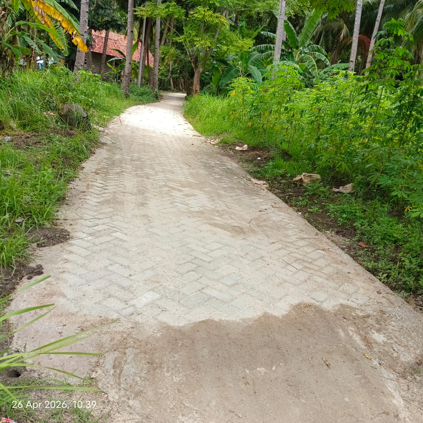Proyek Siluman Sapangkur: Anggaran Belum Turun, Paving Sudah Berdiri Asal Jadi - Ini Bukan Kecelakaan, Ini Pola SUMENEP, JAWA TIMUR - Pertengahan April 2026, sebuah proyek pembangunan jalan paving muncul tiba-tiba di Dusun Sabuntan Dua, Desa Sabuntan, Kecamatan Sapeken - tanpa satu pun papan informasi, tanpa prasasti, dan tanpa kejelasan sumber anggaran. Yang lebih menggelisahkan: warga setempat menyatakan anggaran proyek belum terealisasi. Siapa yang mendanai proyek ini, dan siapa yang bertanggung jawab atas kualitasnya yang dipertanyakan? Proyek pembangunan jalan paving di Dusun Sabuntan Dua, mencuat menjadi sorotan publik sejak pertengahan April 2026, bukan karena manfaatnya yang dirasakan warga - melainkan karena serangkaian kejanggalan yang melekat sejak paku pertama ditancapkan: tidak ada satu pun papan informasi proyek, tidak ada prasasti, dan tidak ada kejelasan tentang dari mana anggaran mengalir. Dalam praktik pengadaan barang dan jasa pemerintah, papan informasi proyek adalah kewajiban - bukan pilihan. Papan tersebut memuat nama kegiatan, sumber dana, nilai anggaran, nama pelaksana, dan masa pengerjaan, yang berfungsi sebagai instrumen transparansi publik sekaligus alat kontrol sosial. Ketiadaannya bukan sekadar pelanggaran administratif; ini adalah sinyal serius bahwa ada sesuatu yang disembunyikan dari masyarakat. Yang membuat kasus ini semakin menggelisahkan adalah fakta yang disampaikan warga: anggaran proyek ini disebut belum terealisasi pada saat pembangunan fisik sudah berjalan dan bahkan hampir rampung. Pertanyaan yang muncul kemudian sangat mendasar - jika anggaran belum cair, dari kas mana pekerjaan ini dibiayai? Apakah ada mekanisme pinjam-pakai dana yang tidak transparan? Atau ini adalah modus pengerjaan mendahului penetapan anggaran yang rawan penyelewengan? Pada Minggu, 26 April 2026, salah seorang warga Pulau Sapangkur Kecil mengonfirmasi kepada media ini bahwa proyek paving tersebut baru saja diselesaikan - hanya dalam hitungan hari sebelum tanggal konfirmasi. "Masih lima hari dari sekarang dibangun." Ungkap salah satu warga Pulau Sapangkur Kecil yang namanya enggan dusebukan, Minggu, 26/04/2026 Namun warga tidak hanya mempersoalkan kecepatan pengerjaan yang janggal. Ia juga mengeluhkan kualitas konstruksi yang jauh dari standar teknis paving yang semestinya - sebuah keluhan yang mencerminkan pengamatan orang yang tahu betul bagaimana sebuah jalan paving seharusnya dibangun. "Seharusnya pembangunan paving itu pasirnya kan dipadatkan serta ada semacam cor atau nat kanan kiri agar tidak mudah hancur kena air," Keluh-Nya Berdasarkan keterangan warga dan pantauan lapangan, sedikitnya terdapat beberapa kejanggalan teknis yang patut diinvestigasi lebih lanjut oleh pihak berwenang: Tidak terdapat papan informasi proyek yang memuat sumber dana, nilai anggaran, nama pelaksana, dan masa pekerjaan - wajib secara regulasi pengadaan. Tidak ada prasasti peresmian atau penanda resmi yang menunjukkan pertanggungjawaban kelembagaan atas proyek. Anggaran proyek disebut warga belum terealisasi saat pembangunan fisik sudah berlangsung - memunculkan pertanyaan serius soal mekanisme pembiayaan. Pemadatan lapisan pasir dasar (sub-base) diduga tidak dilakukan sesuai standar, sehingga pondasi paving mudah amblas dan bergeser. Tidak terdapat cor pengunci atau nat pengisi di sisi kanan dan kiri paving - tanpa ini, blok paving rentan bergeser dan hancur terkena genangan atau aliran air. Pekerjaan ini menimbulkan pertanyaan serius tentang waktu pelaksanaan serta kecukupan waktu curing dan pemadatan yang diperlukan untuk kualitas konstruksi yang berkelanjutan. Kejanggalan proyek paving di Sapangkur Kecil ini bukan sekadar persoalan kualitas fisik. Ini menyangkut tata kelola anggaran publik yang fundamental. Setidaknya ada tiga pertanyaan kritis yang harus segera dijawab oleh pihak berwenang - Pemerintah Desa Sabuntan, Dinas PUTR Kabupaten Sumenep, dan Inspektorat Daerah: Pertama, dari sumber anggaran manakah proyek ini dibiayai - apakah Dana Desa (DD), Bantuan Keuangan Khusus (BKK), atau sumber lain - dan mengapa tidak tercantum dalam papan informasi? Kedua, jika anggaran memang belum cair saat pembangunan berlangsung, siapa yang menanggung biaya awal dan dengan mekanisme apa? Ketiga, siapa pelaksana teknis yang bertanggung jawab atas kualitas pekerjaan ini, dan apakah ada pengawas lapangan yang ditunjuk secara resmi? Media ini telah berupaya mengonfirmasi pihak Pemerintah Desa Sabuntan dan Dinas PUTR Kabupaten Sumenep terkait proyek ini. Hingga berita diterbitkan, belum ada pernyataan resmi yang diperoleh. Media ini akan menerbitkan klarifikasi atau hak jawab dari pihak terkait secara proporsional dan berimbang sesuai kaidah jurnalistik yang berlaku. Investigasi ini akan terus dikembangkan. GUSNO
